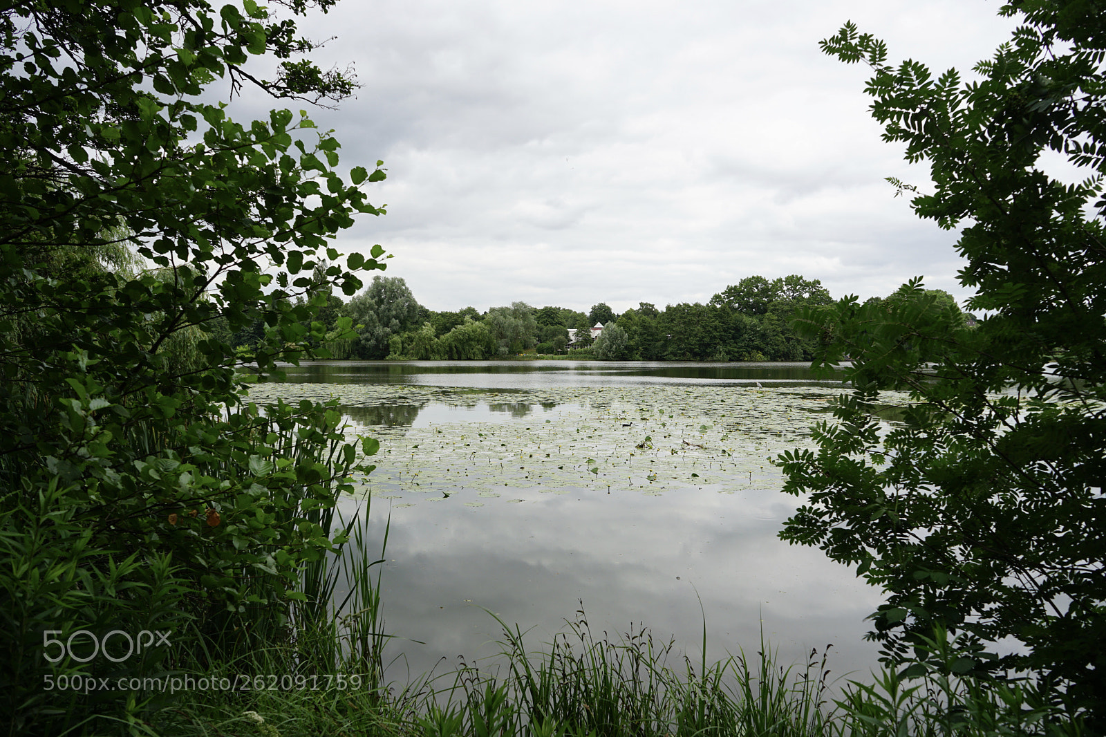 Sony a7 II sample photo. On the lake. photography