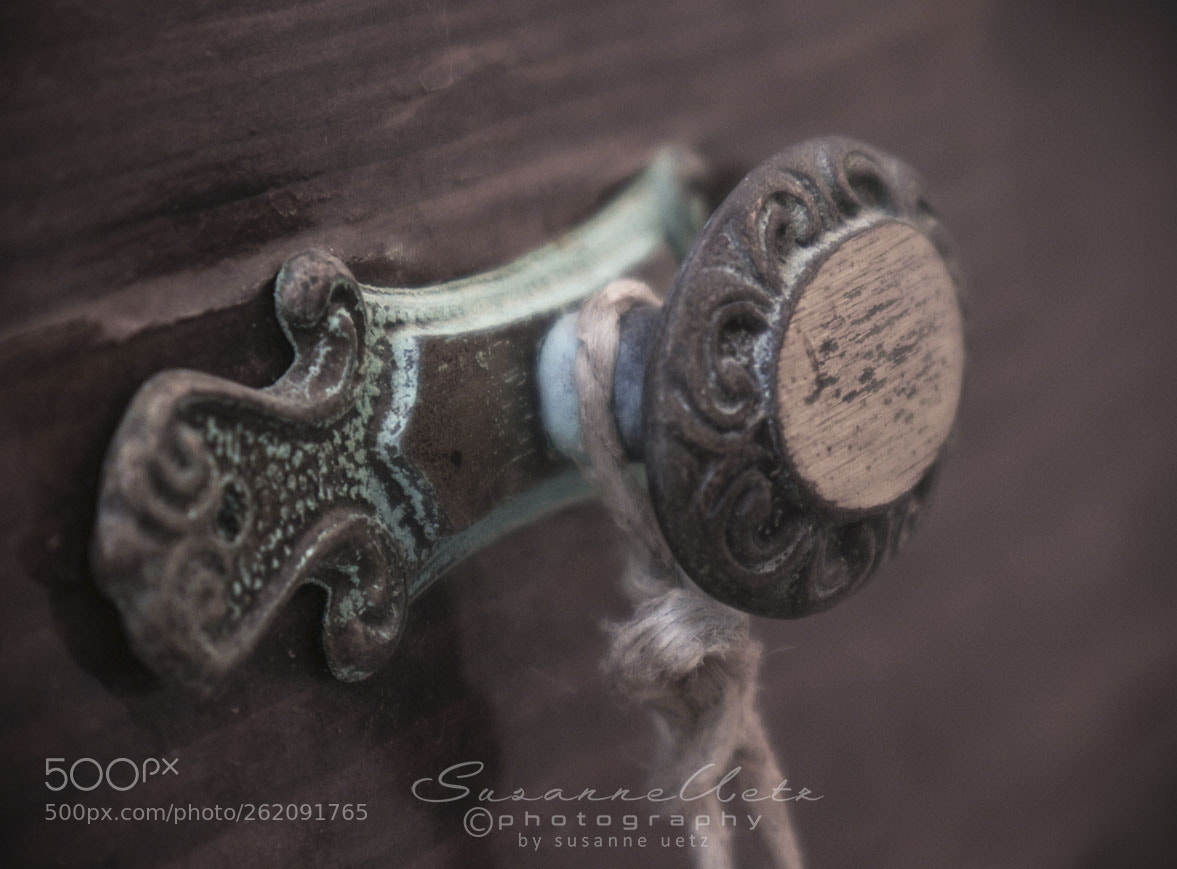 Canon EOS M10 sample photo. Detail photography