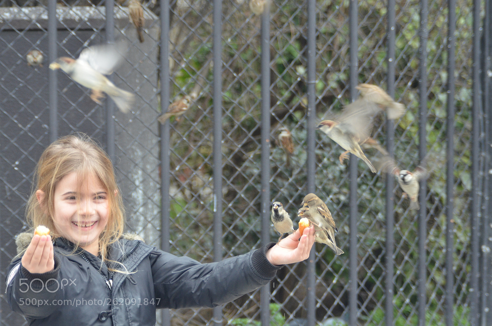Nikon D7000 sample photo. Little girl in pais photography