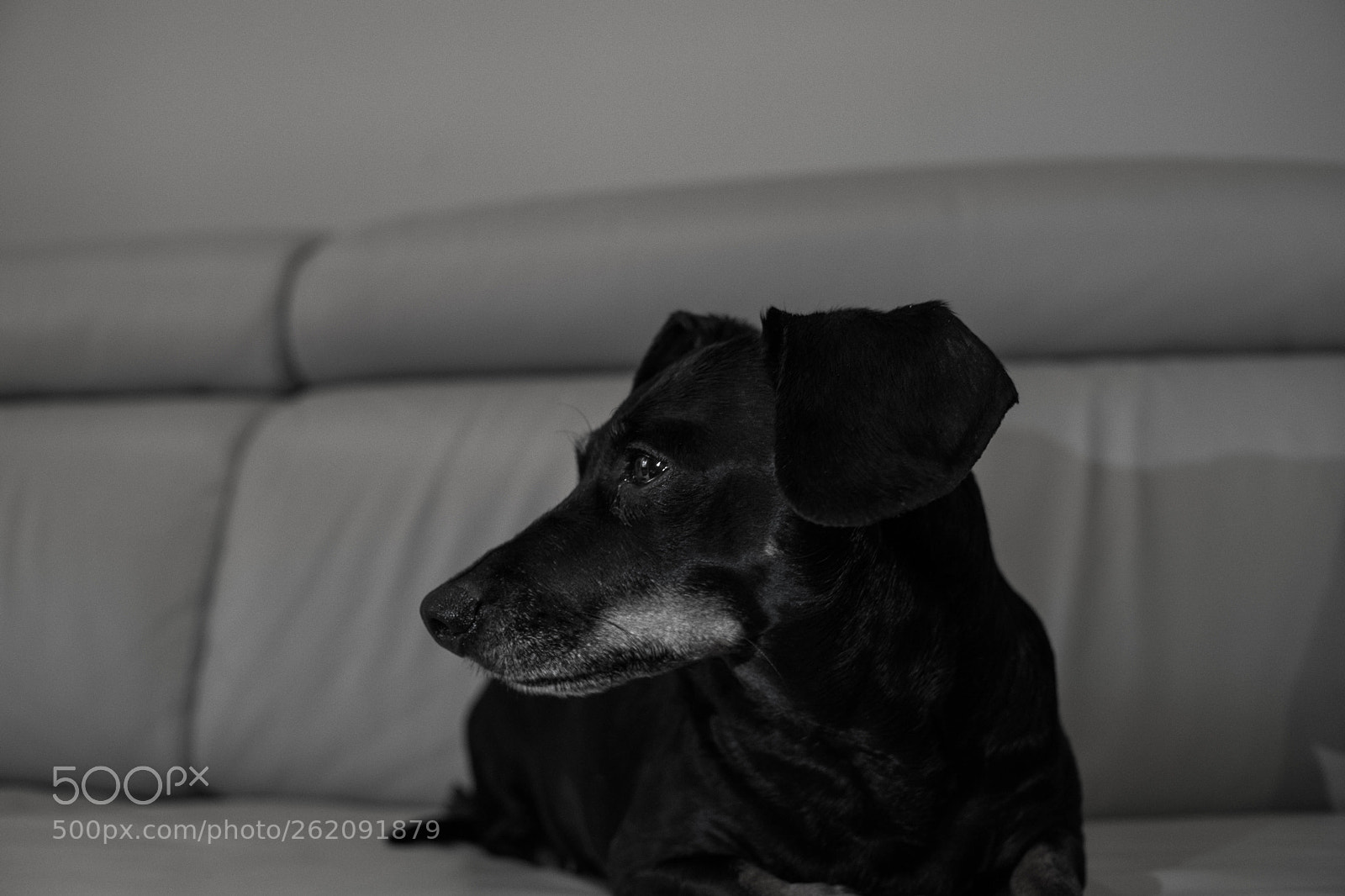 Fujifilm X-E3 sample photo. Untitled photography