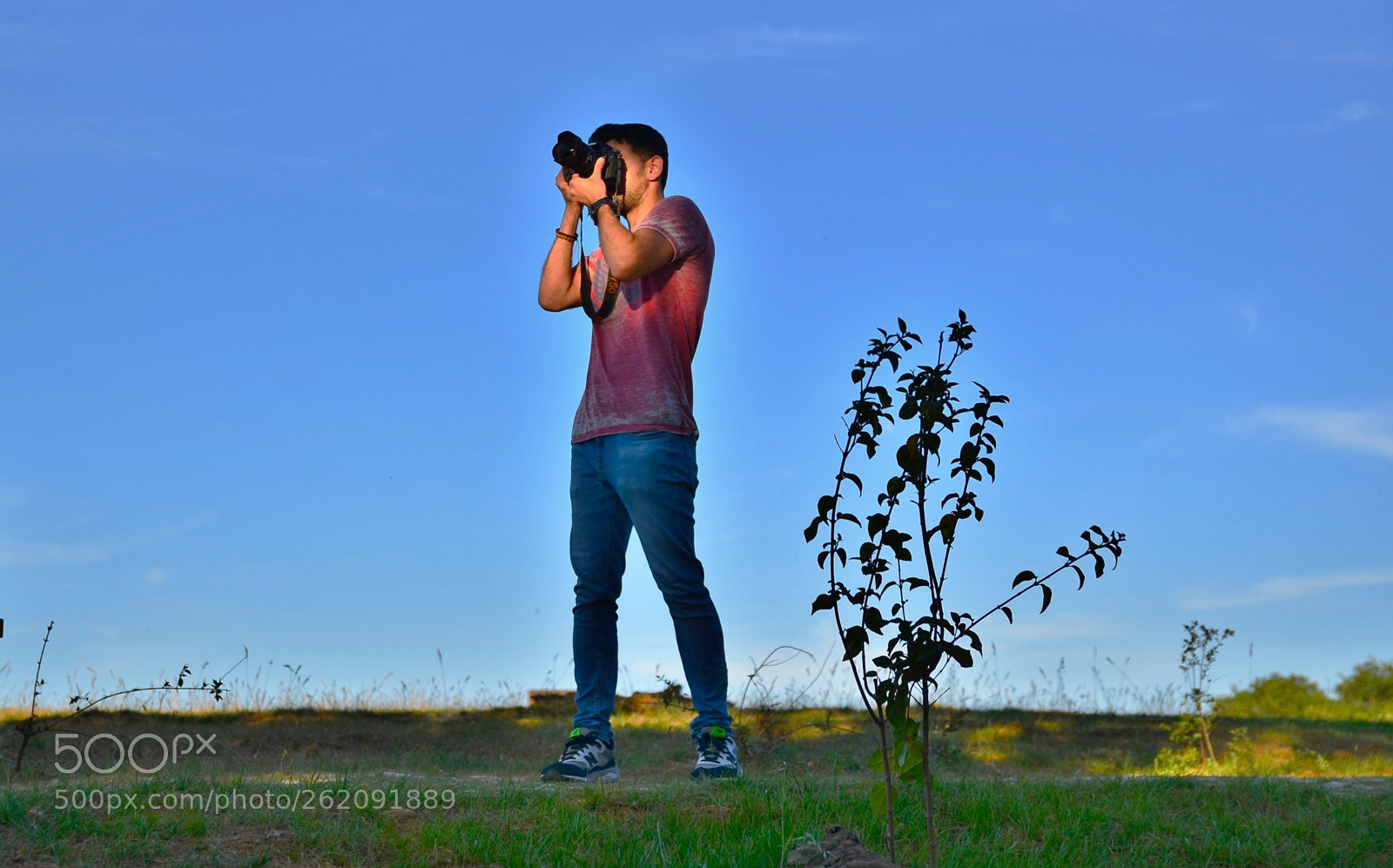 Nikon D7000 sample photo. Photographer photography