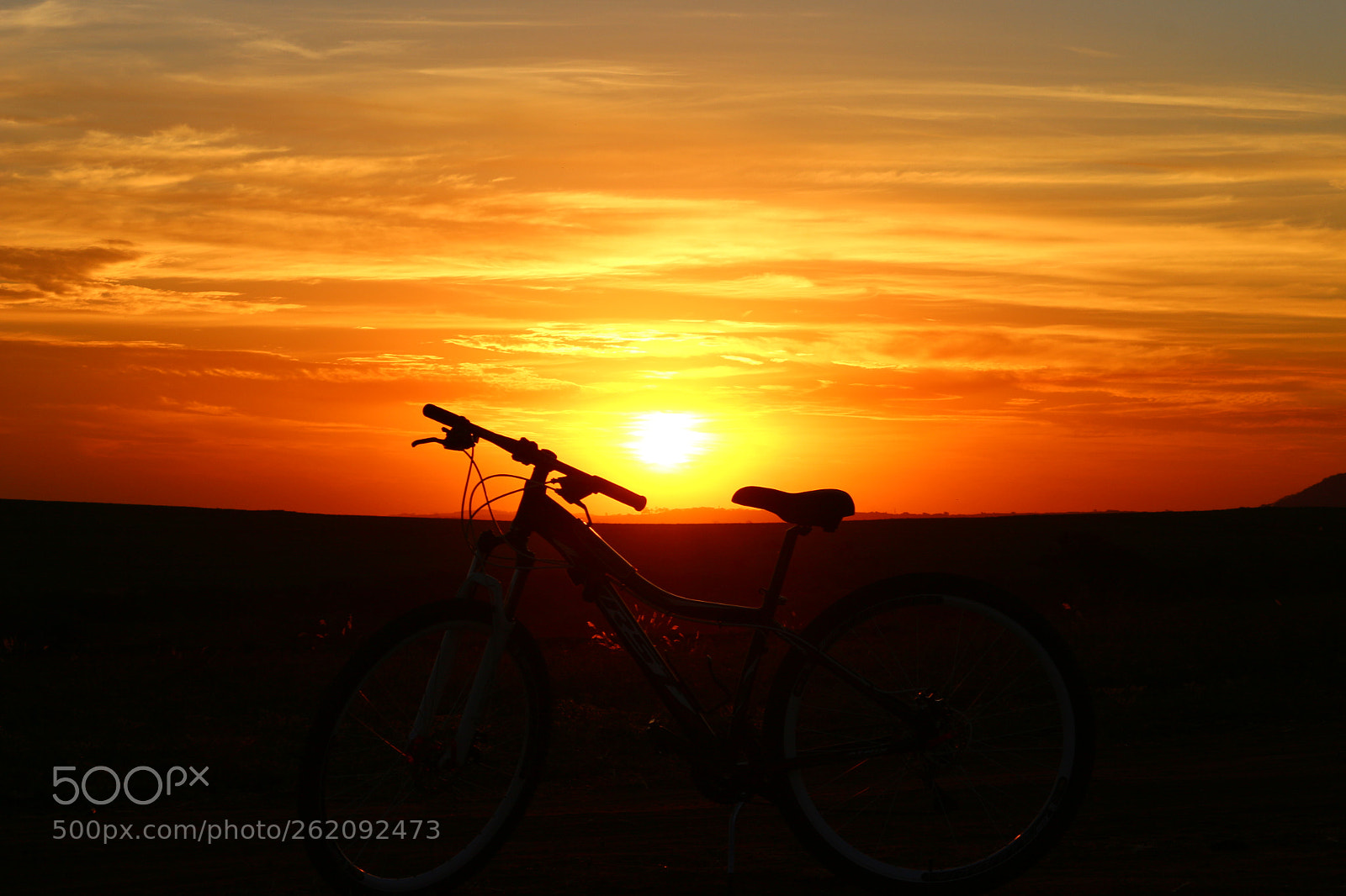 Canon EF-S 55-250mm F4-5.6 IS STM sample photo. Untitled photography