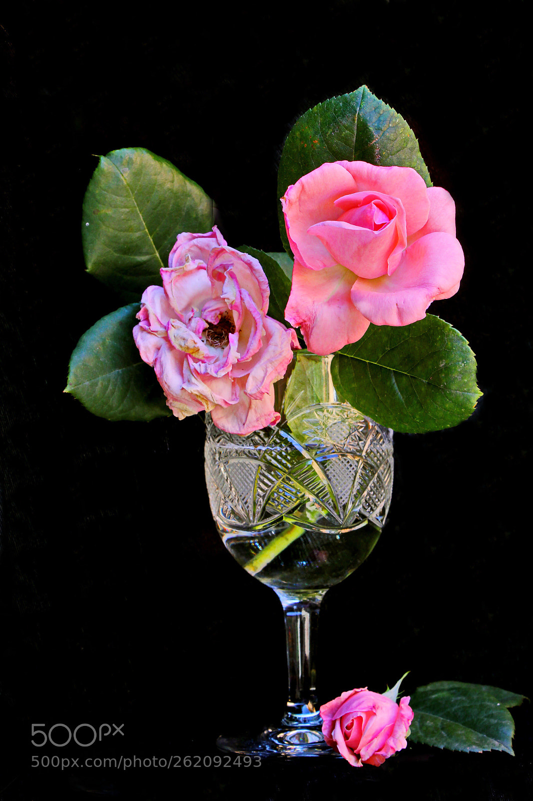 Canon EOS 60D sample photo. Untitled photography