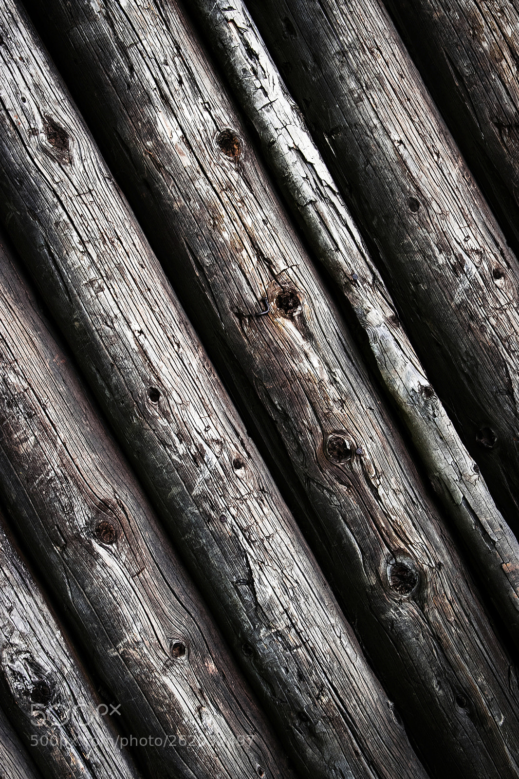 Nikon D5500 sample photo. Obliquely laid old round photography