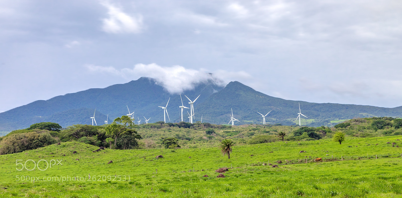 Canon EOS 5D Mark IV sample photo. Wind farm photography
