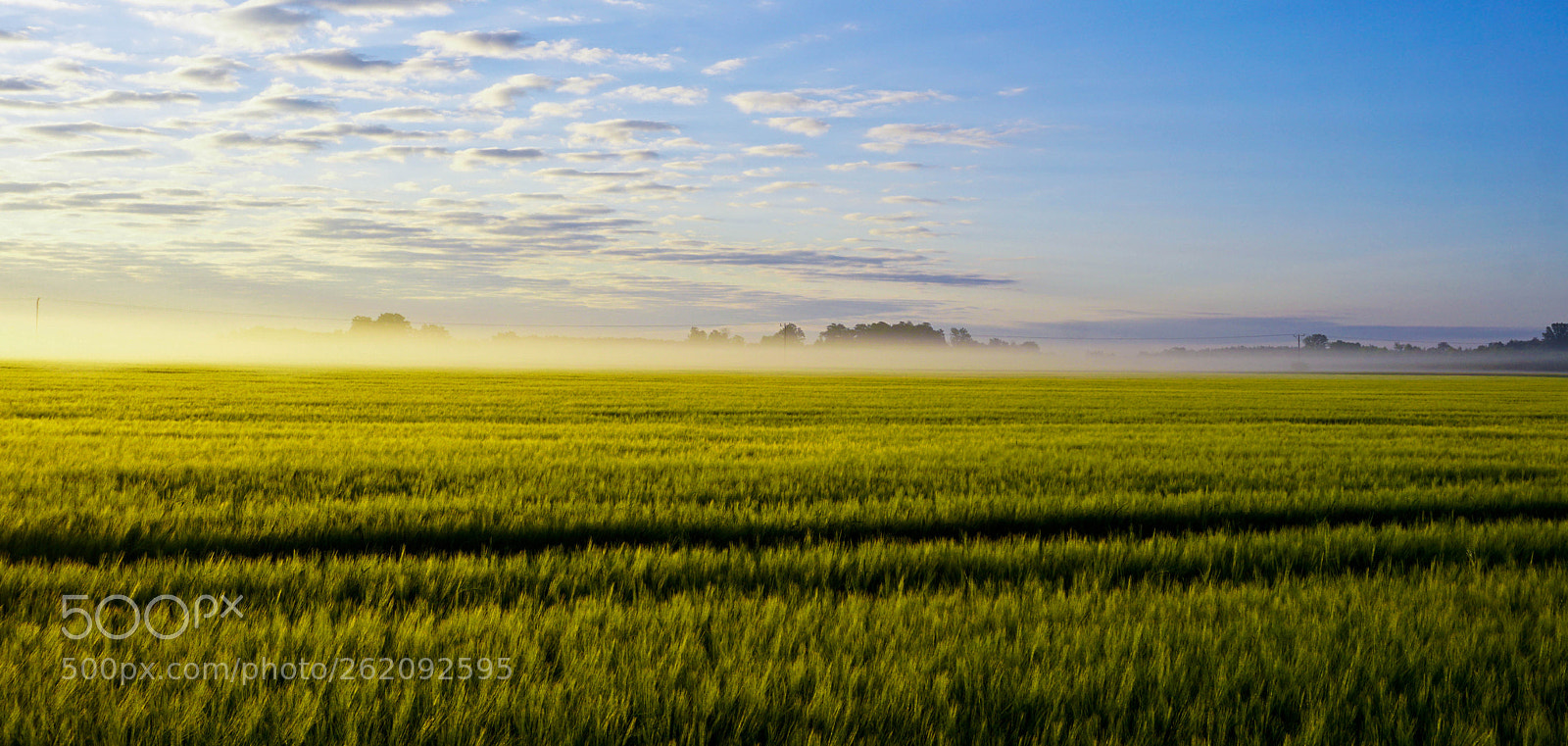 Sony a6000 sample photo. Morning fog photography