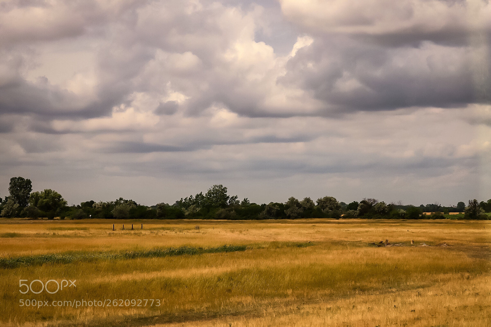 Canon EOS 6D Mark II sample photo. Untitled photography
