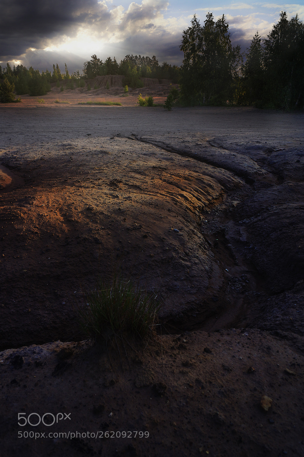 Sony SLT-A77 sample photo. Nature beats photography