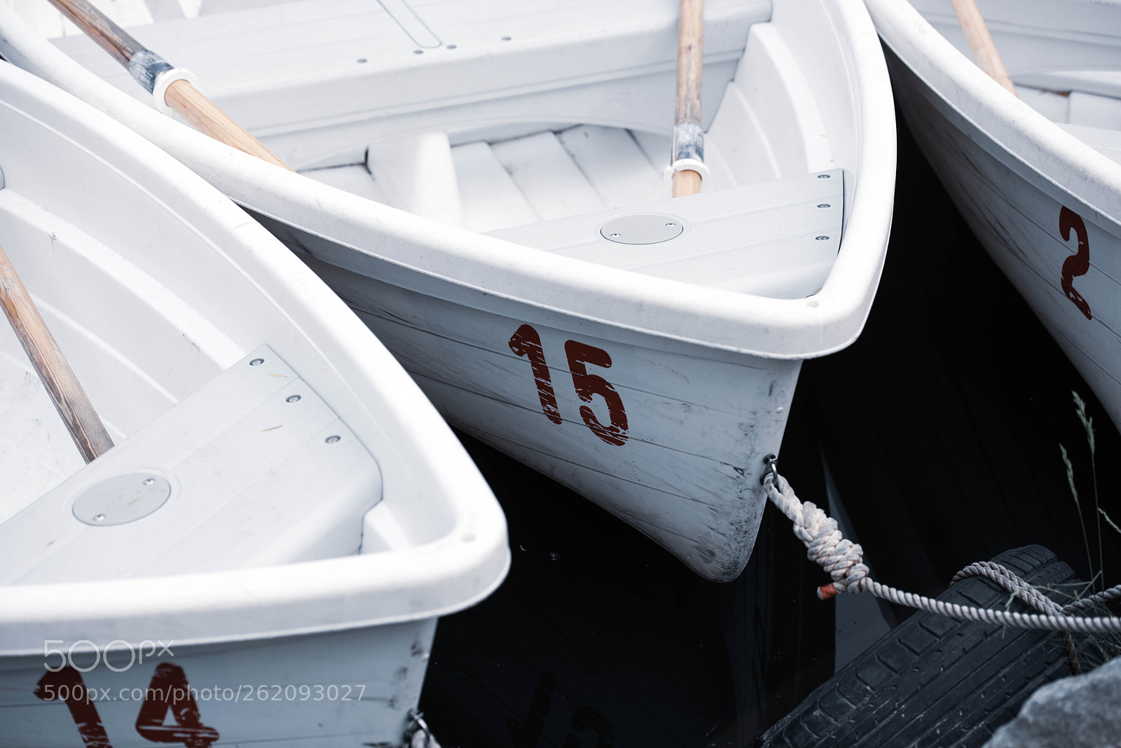 Nikon D810 sample photo. No.15 photography