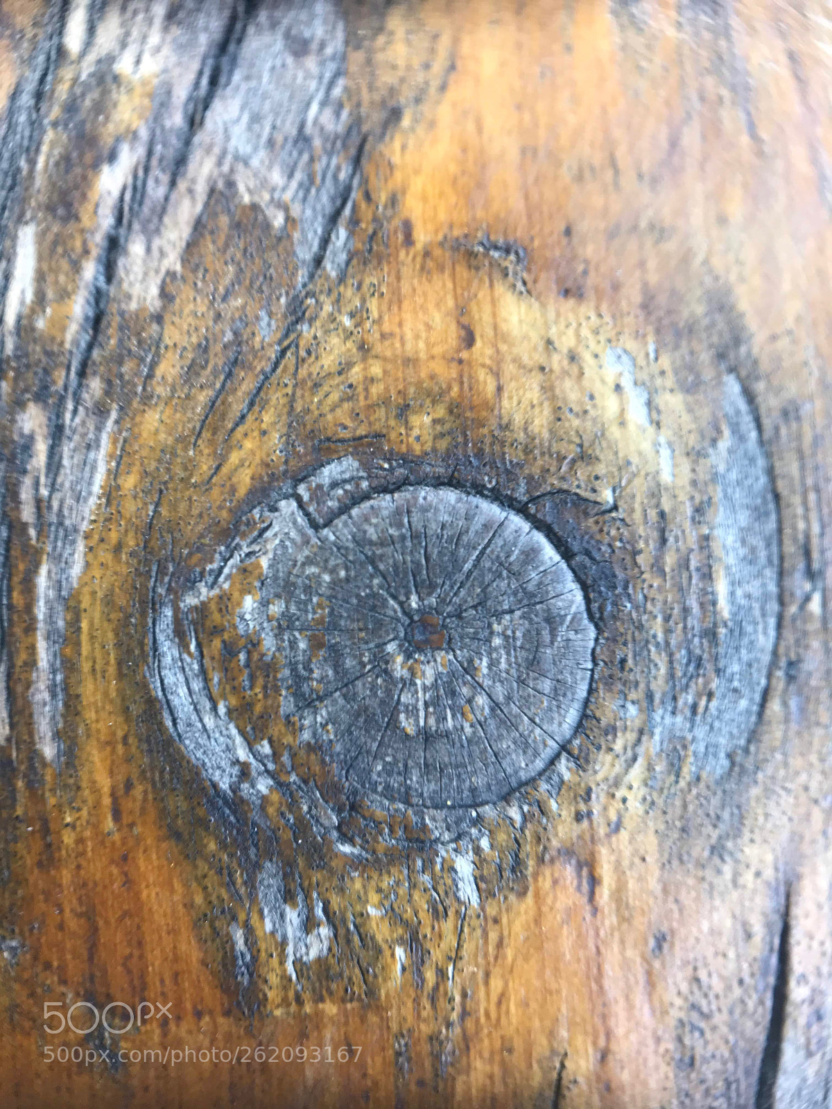 Apple iPhone 7 Plus sample photo. Knot photography