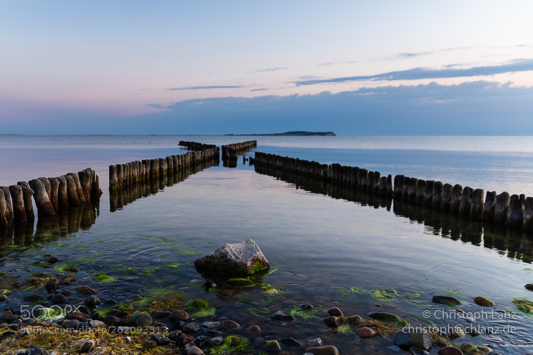 Nikon D7200 sample photo. The sound of silence photography
