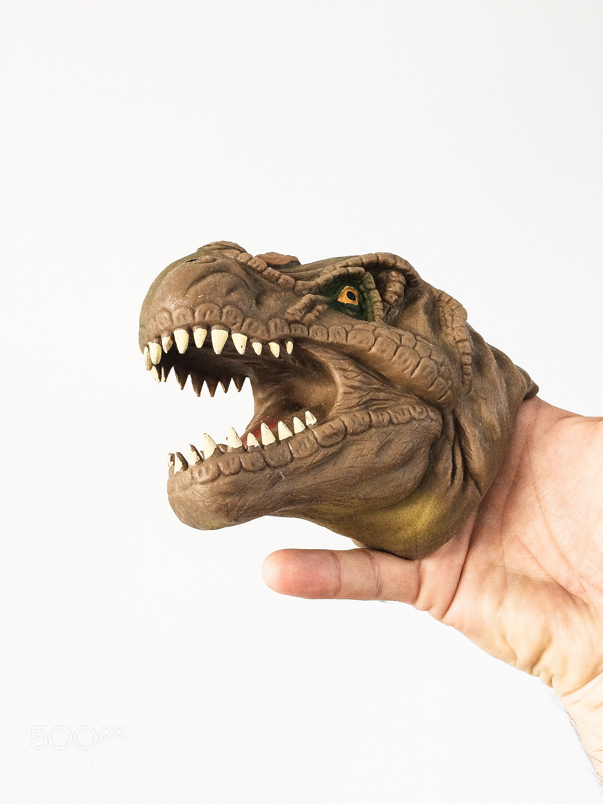 Apple iPhone 5s sample photo. Toy-rex  photography