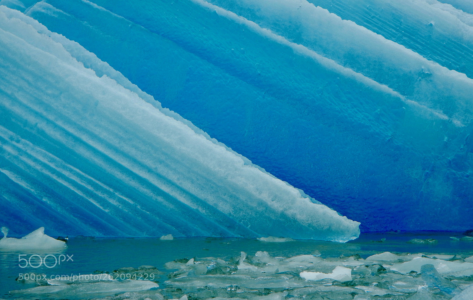 Nikon Coolpix AW110 sample photo. Nature's geometry photography