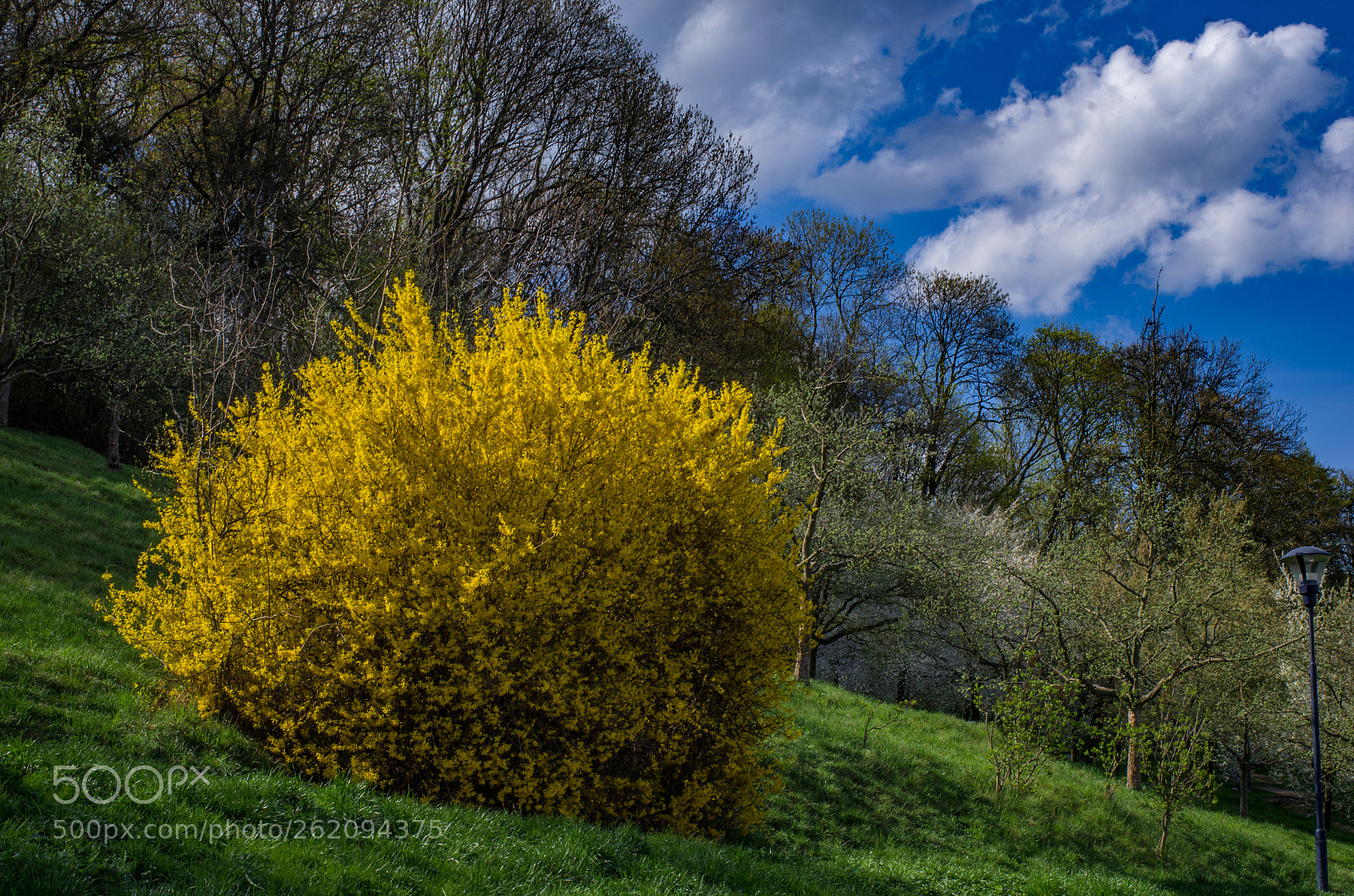 Pentax K-5 sample photo. Spring on the petrin photography