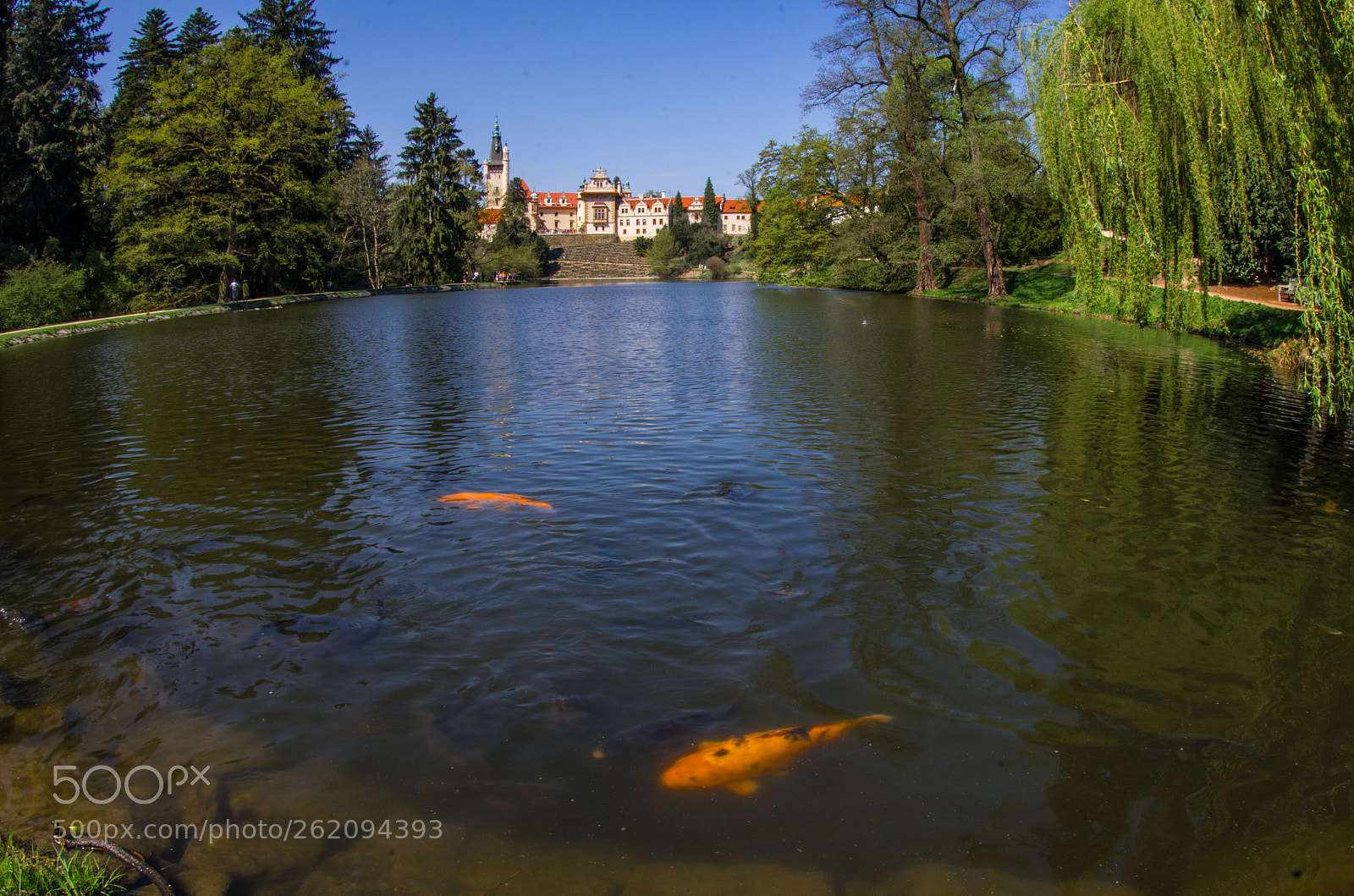 Pentax K-5 sample photo. Spring in pruhonice park photography