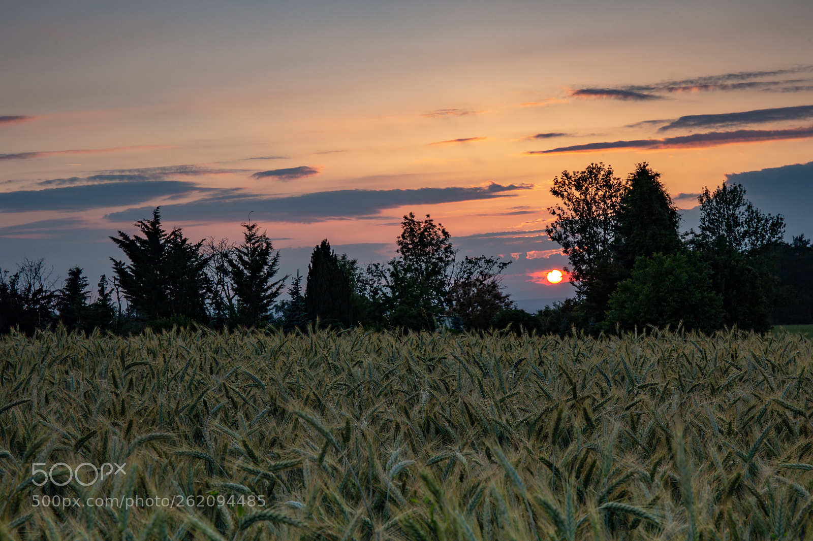 Canon EOS 6D sample photo. Red sun photography