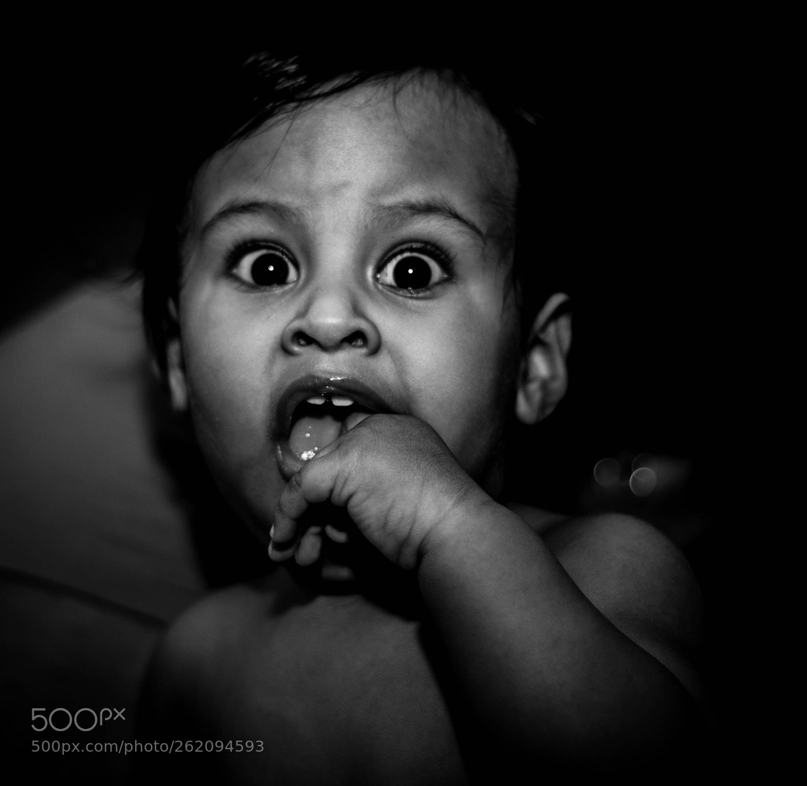 Nikon D5000 sample photo. Untitled photography
