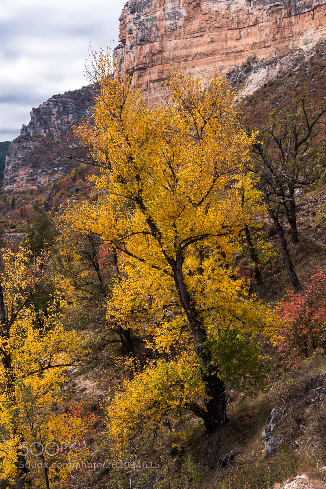 Nikon D750 sample photo. Otoño. autumn. photography