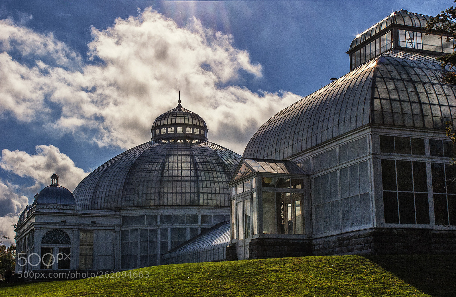 Canon EOS 20D sample photo. Buffalo botanical conservatory photography