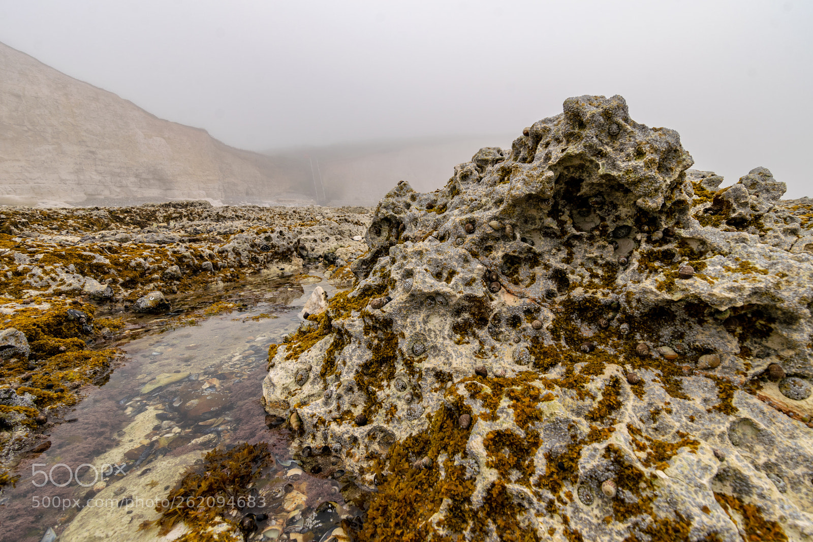 Nikon D5300 sample photo. Coastal erosion photography