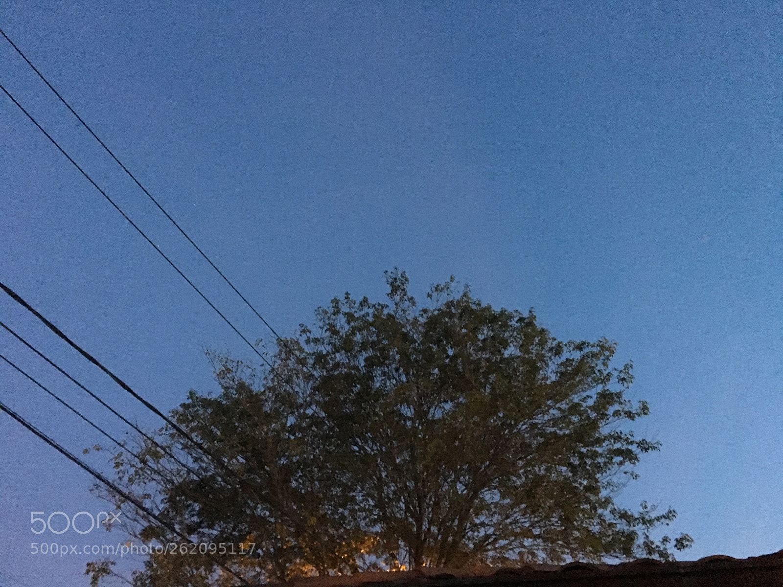 Apple iPhone 6s sample photo. Life after love photography
