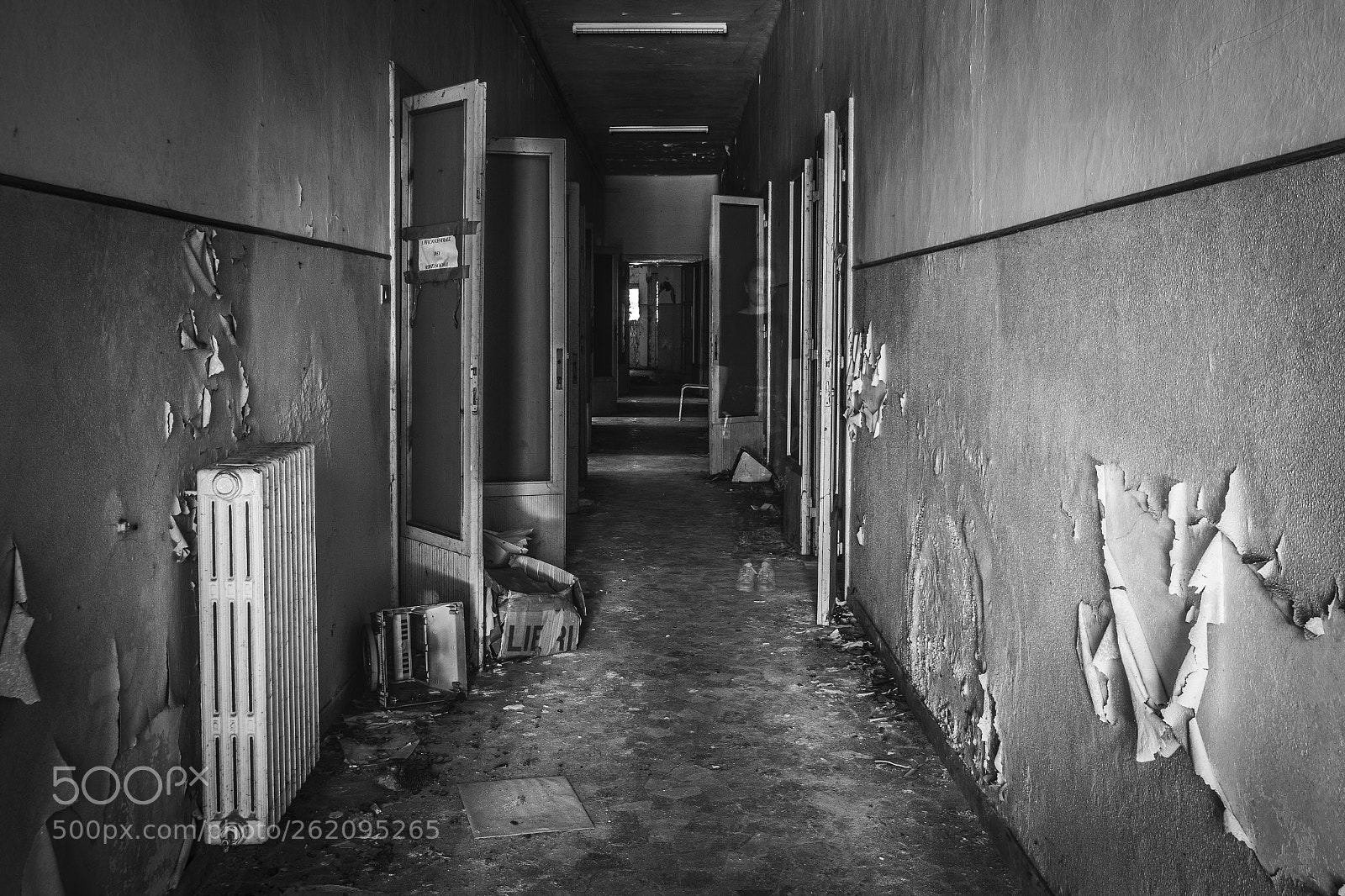 Canon EOS 7D Mark II sample photo. Ex manicomio di rovigo photography