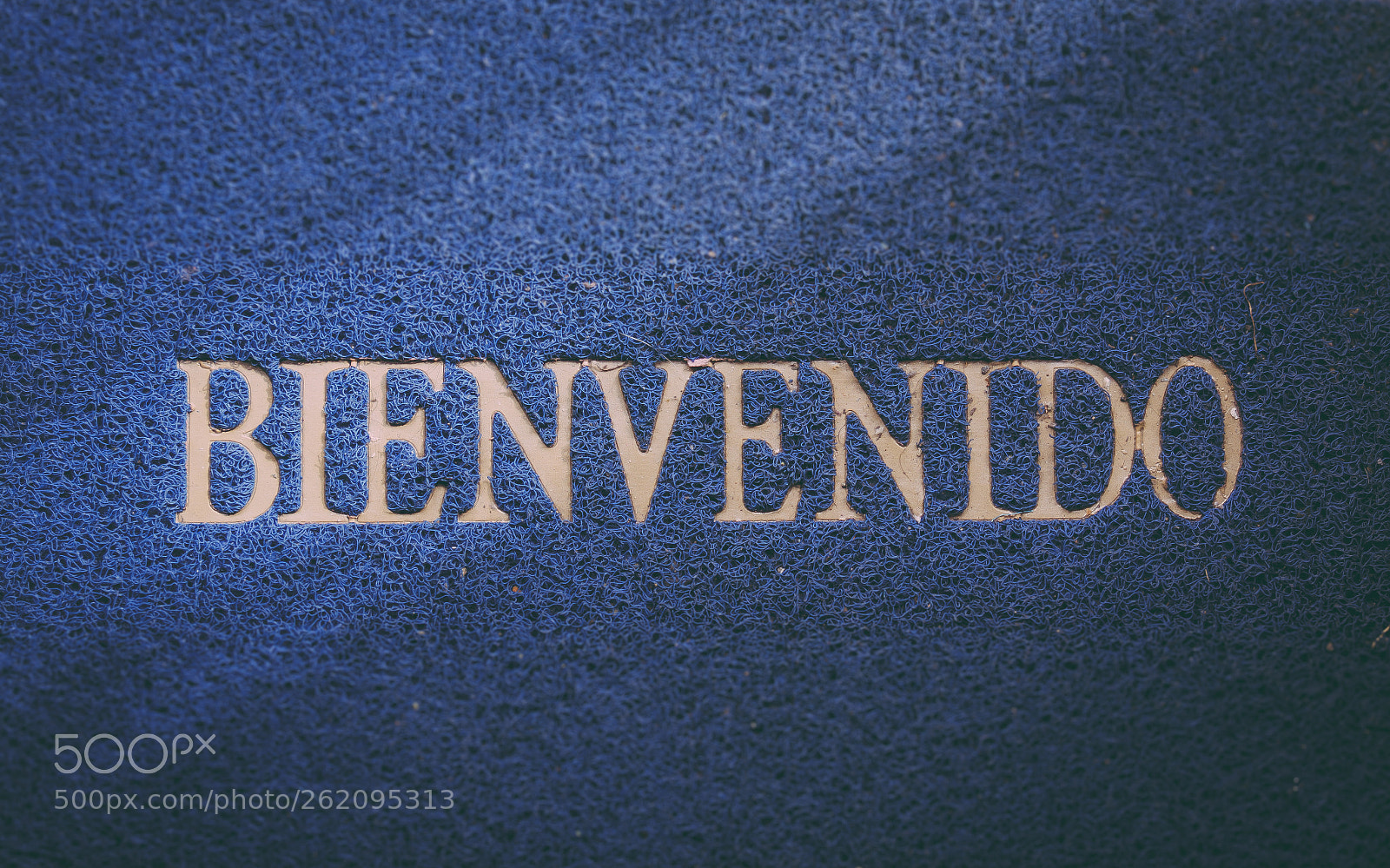 Canon EOS 60D sample photo. Bienvenido photography