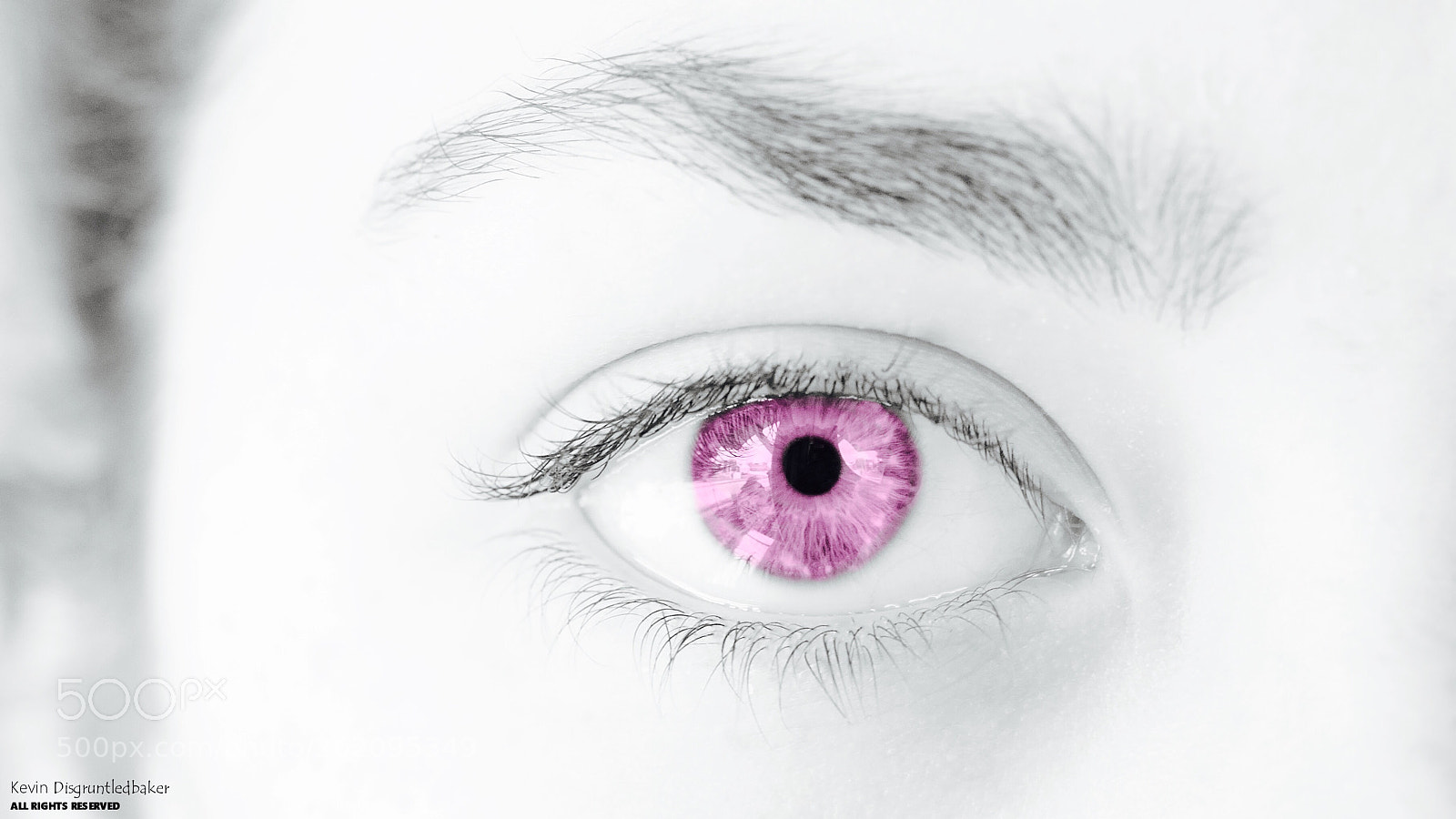 Nikon D90 sample photo. Pink eye photography