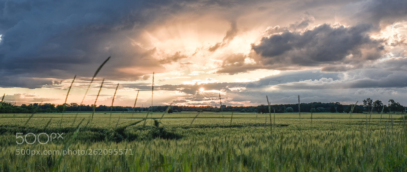 Nikon D750 sample photo. Sunset ortenberg photography
