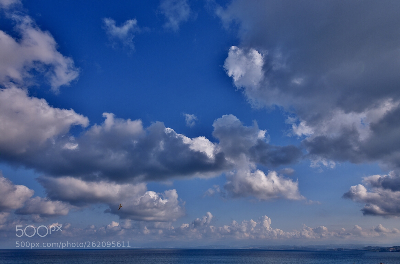 Nikon D750 sample photo. View from my house photography