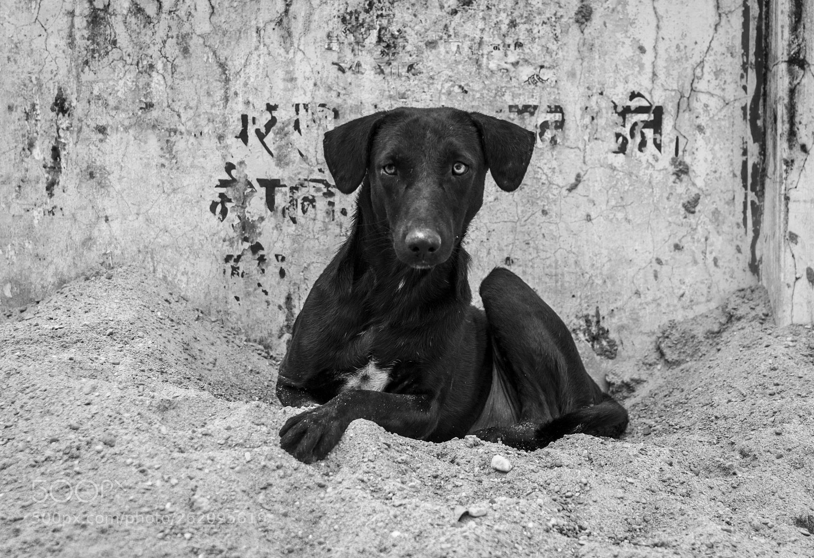 Nikon D5300 sample photo. From the streets photography