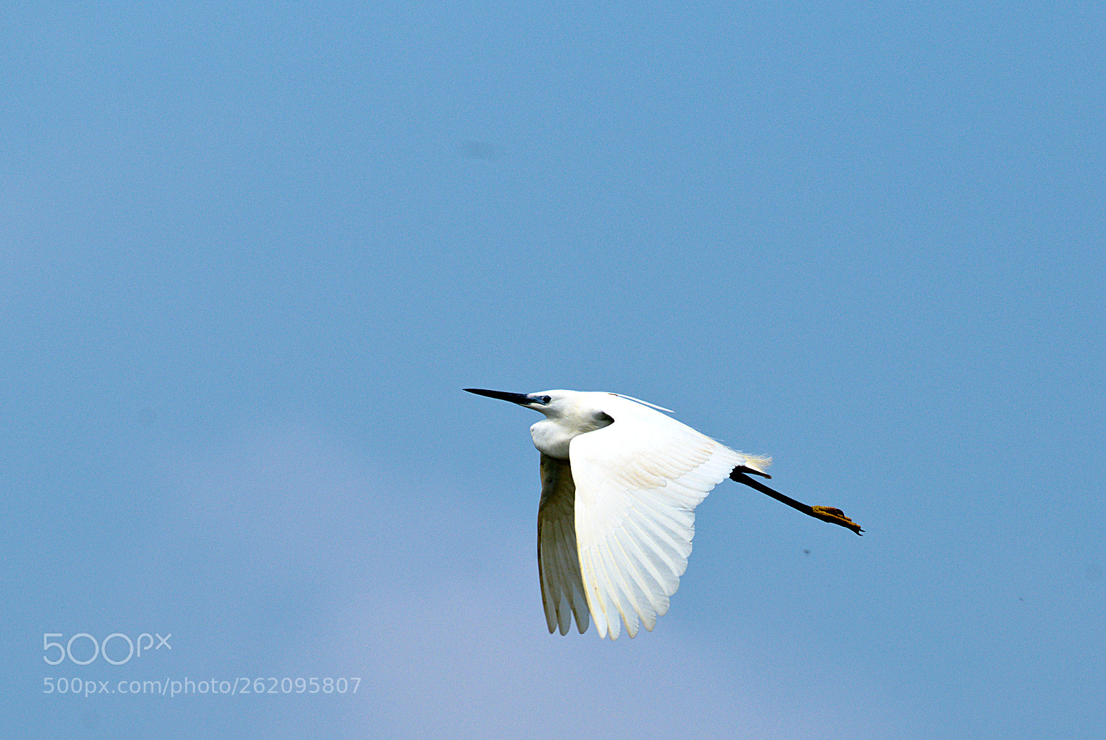 Pentax K-1 sample photo. Achievement of operating quota photography