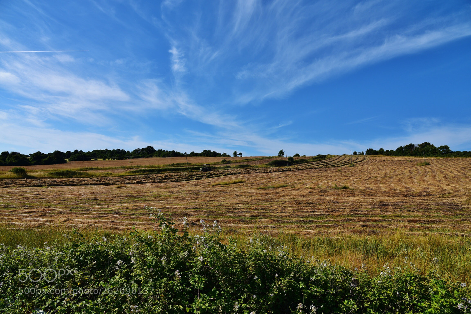 Nikon D750 sample photo. Farmland photography