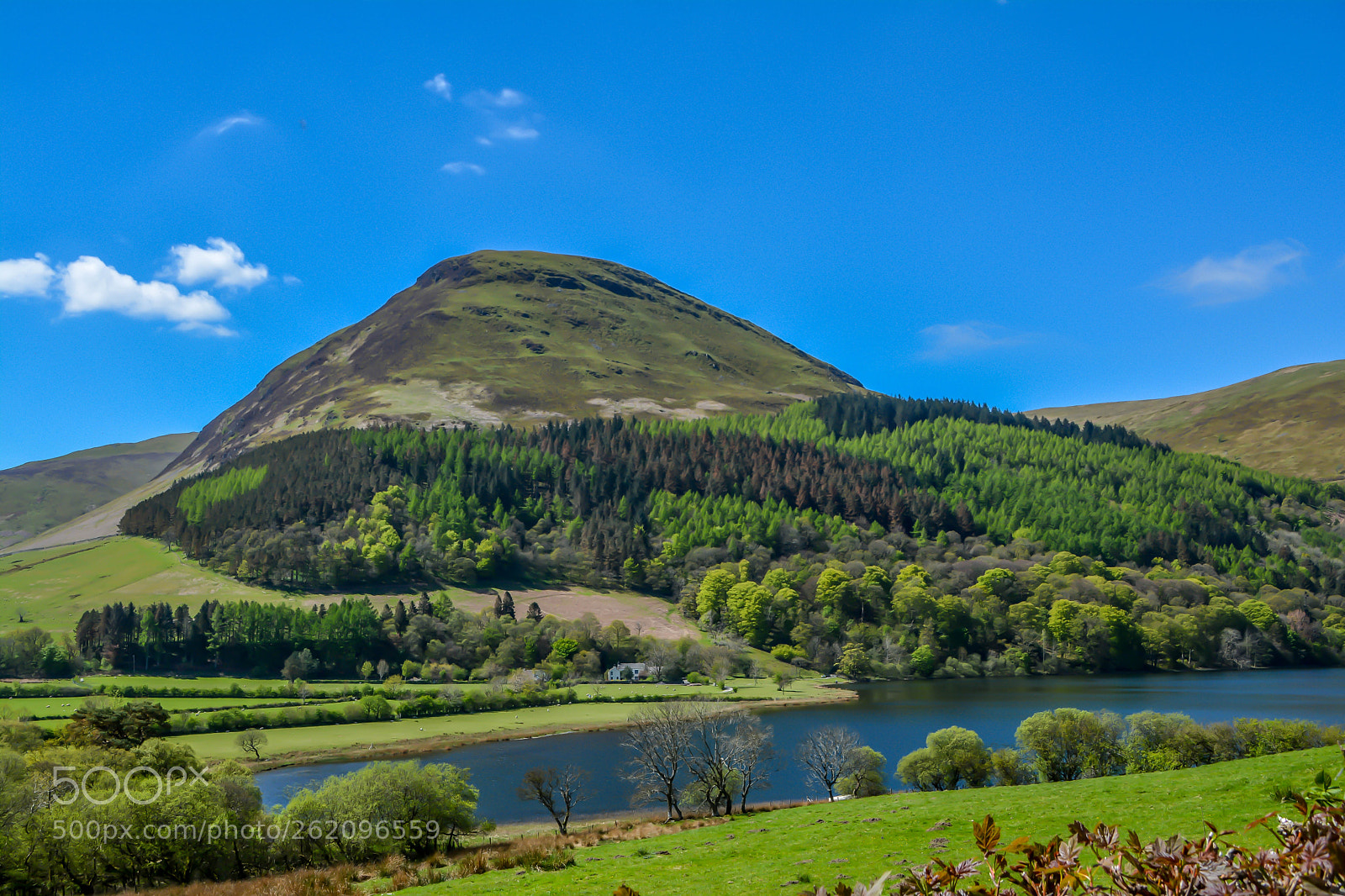 Nikon D5200 sample photo. Patched hill photography