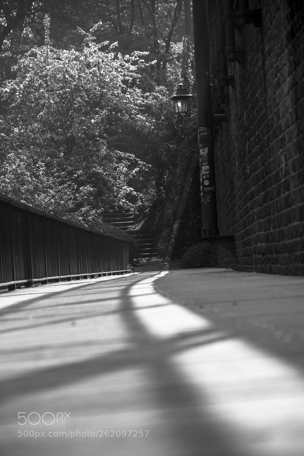 Canon EOS 60D sample photo. Luz de bruxelas photography