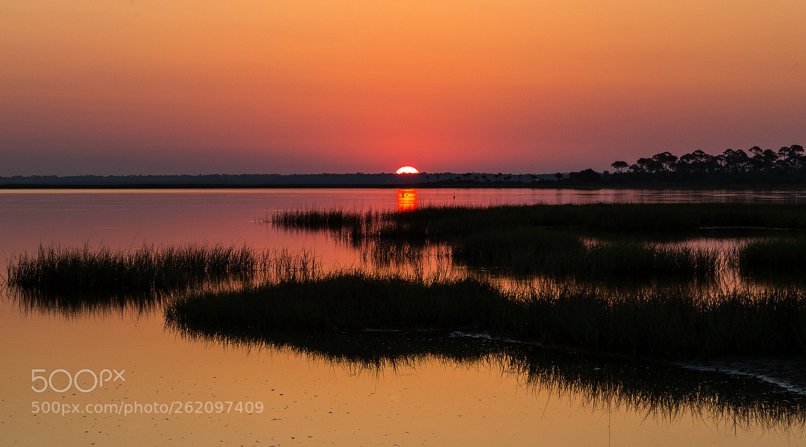 Canon EOS 6D sample photo. St. joe bay photography