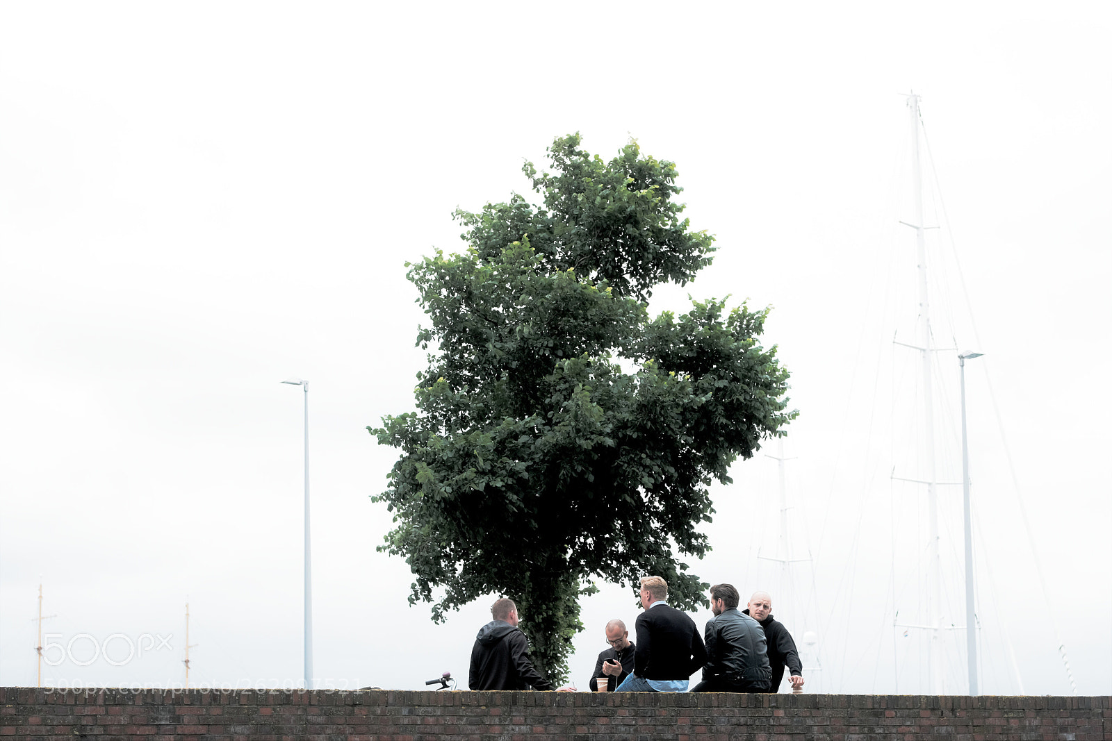 Fujifilm X-T2 sample photo. Nearby marina harbour amsterdam photography