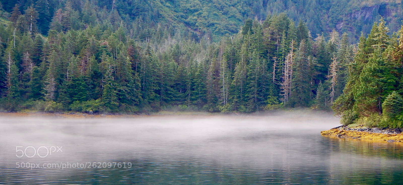 Nikon Coolpix AW110 sample photo. Fog rising photography