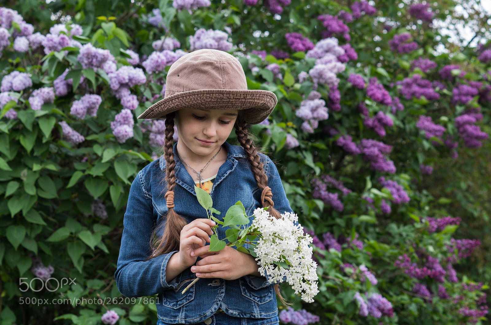 Pentax K-30 sample photo. Sprig of lilac photography