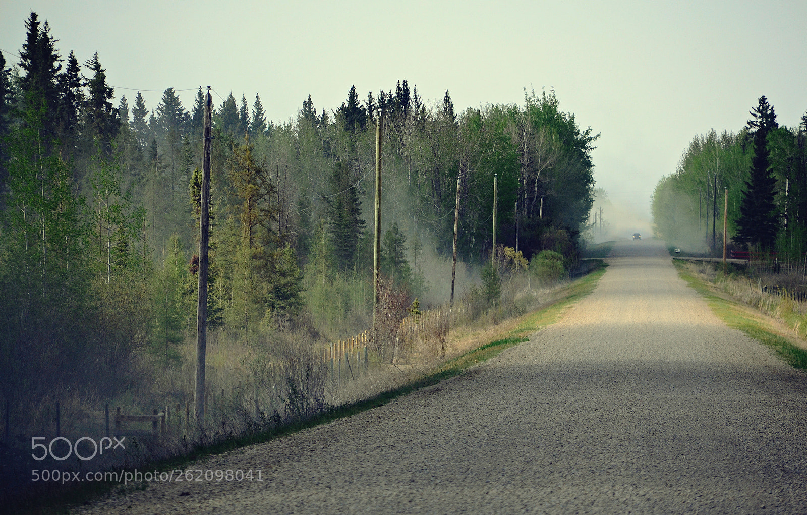Sigma 18-200mm F3.5-6.3 DC OS HSM sample photo. Dusty gravel road, before photography