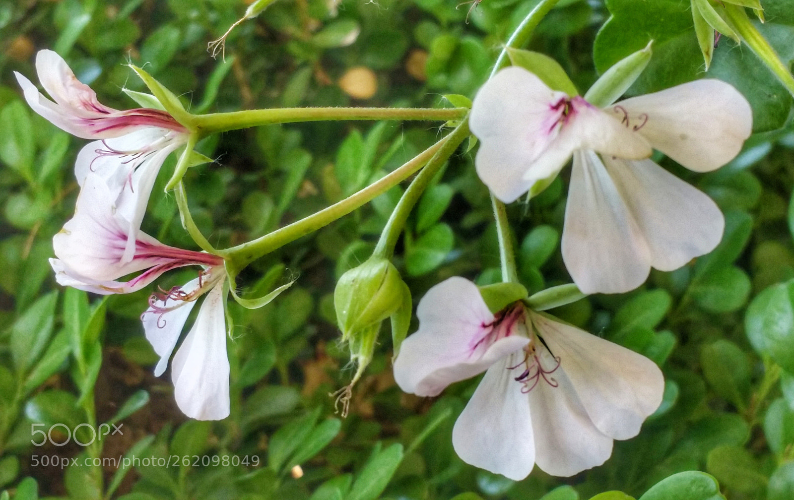 Samsung Galaxy Note4 sample photo. Untitled photography
