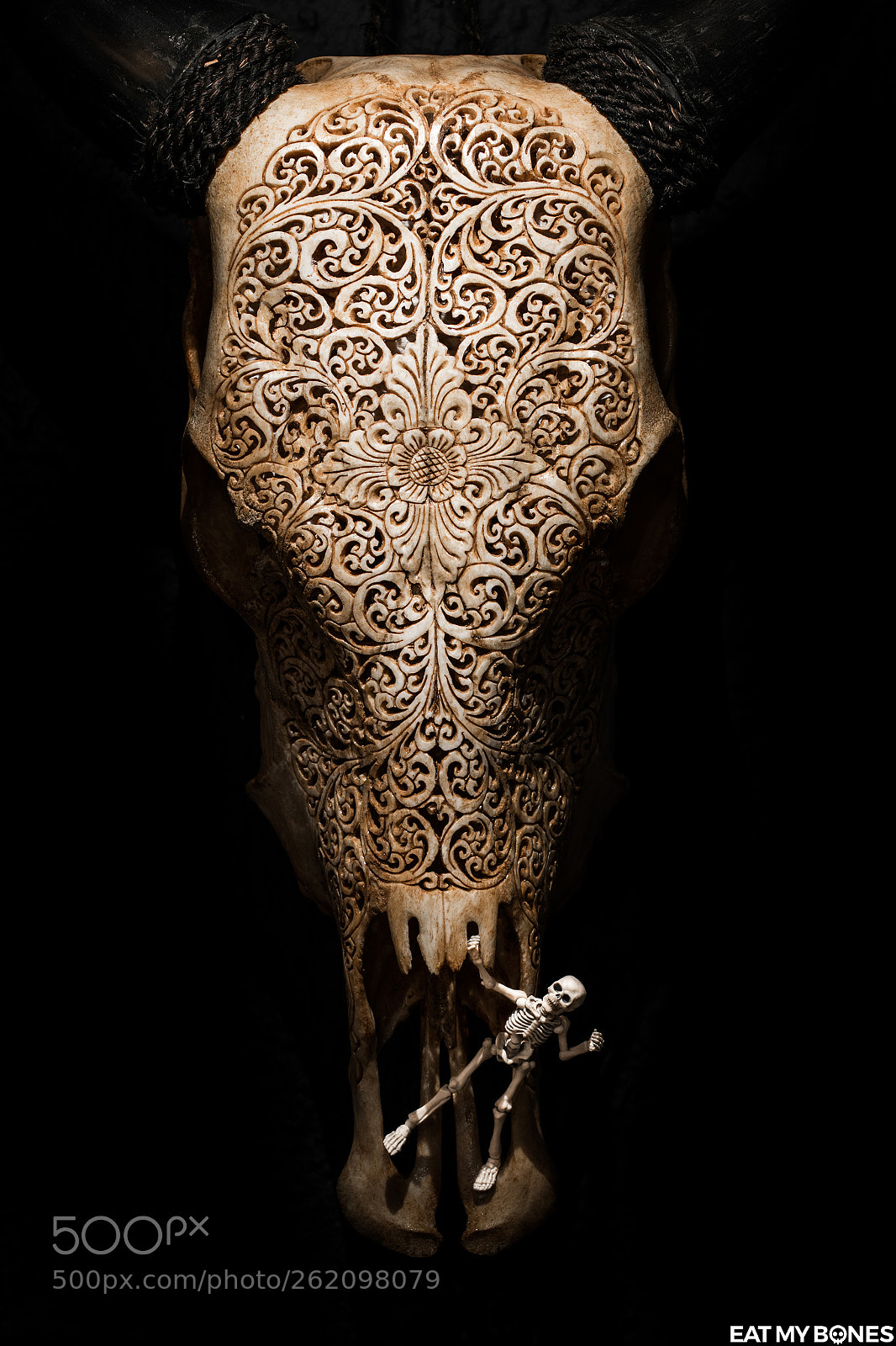 Nikon D5300 sample photo. A carved skull with photography