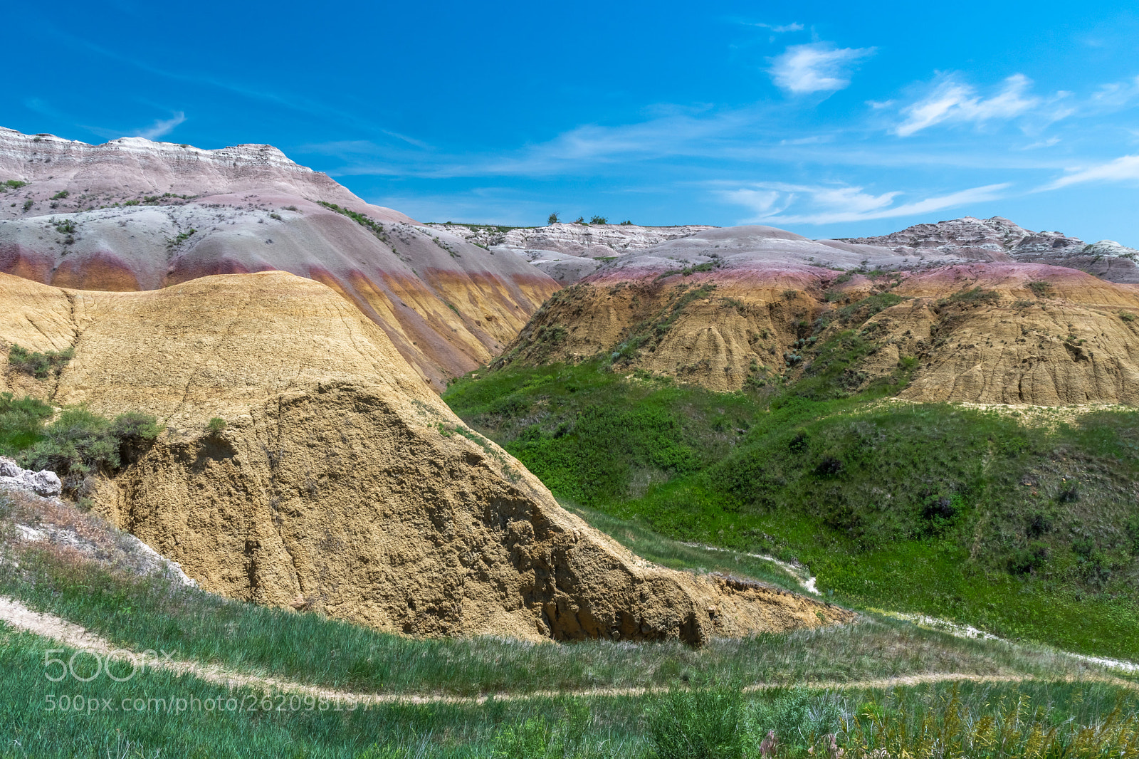 Nikon D500 sample photo. Spring in the badlands photography