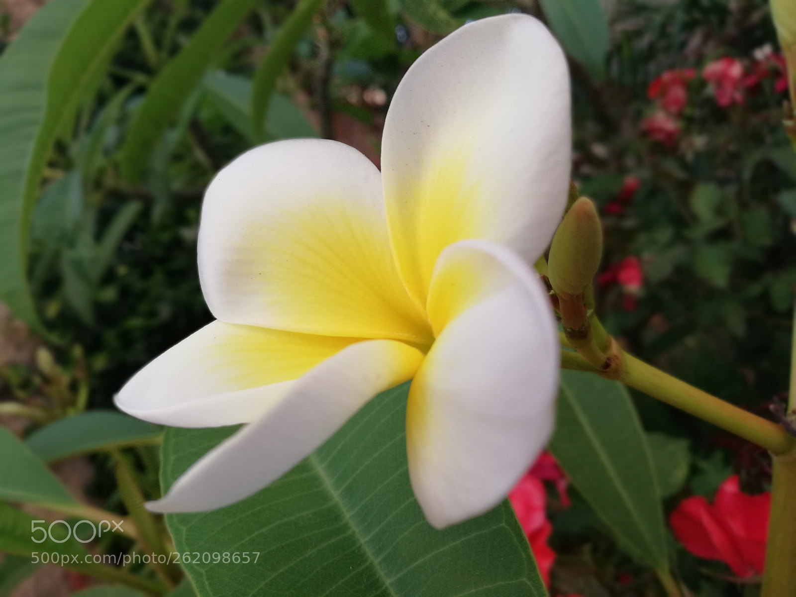 HUAWEI Mate 10 Lite sample photo. Untitled photography