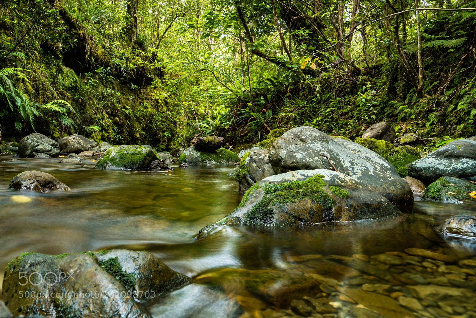 Sony a7R II sample photo. Mt holdsworth stream photography