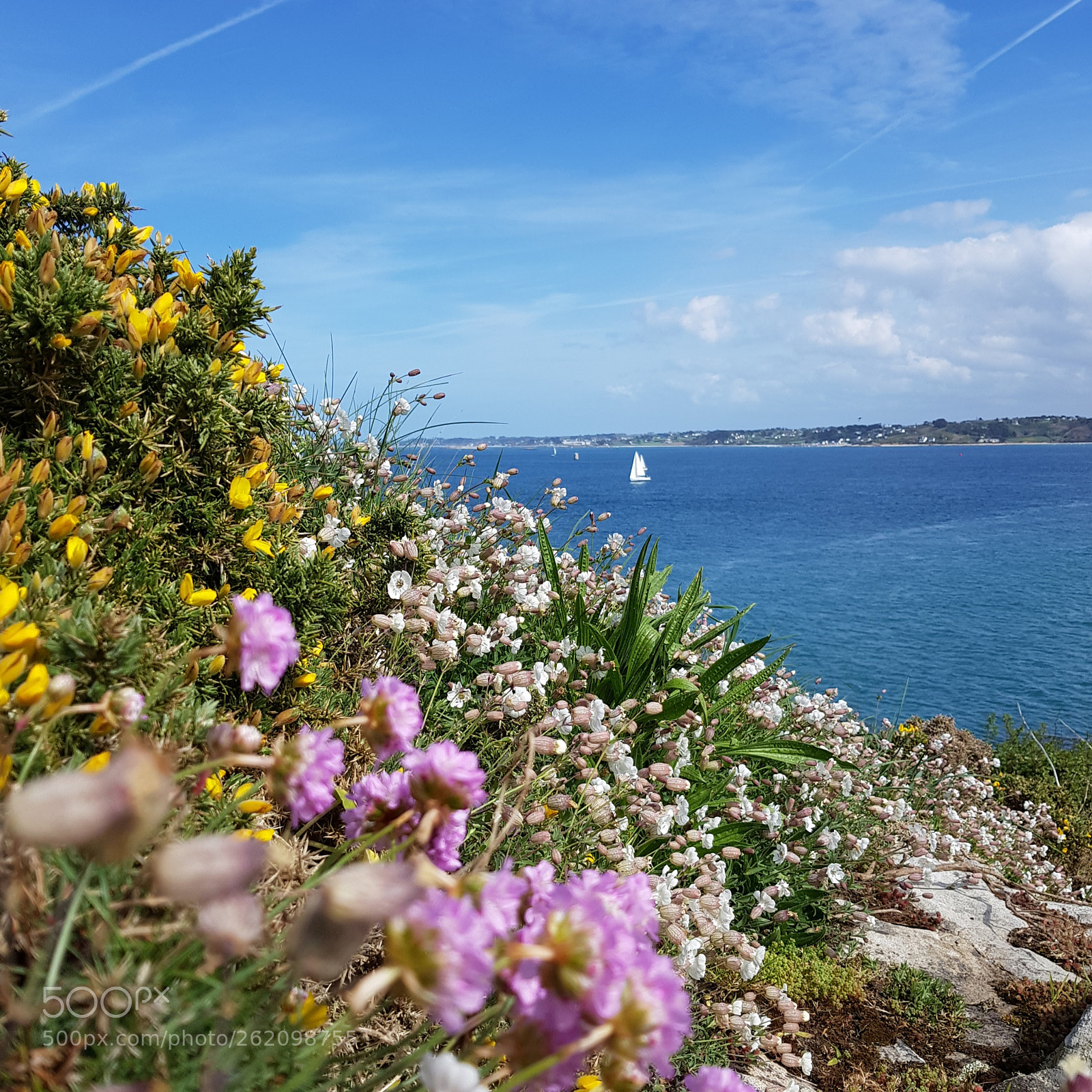 Samsung Galaxy S8 sample photo. Flowered coast photography