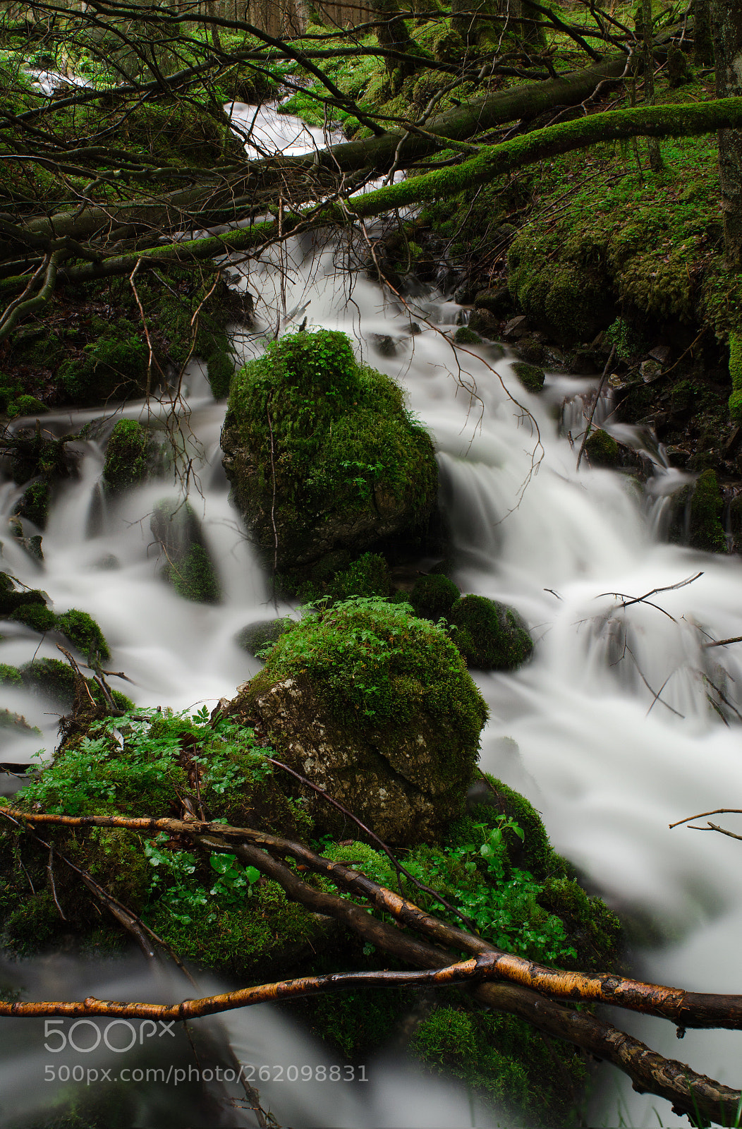 Nikon D5100 sample photo. Untitled photography