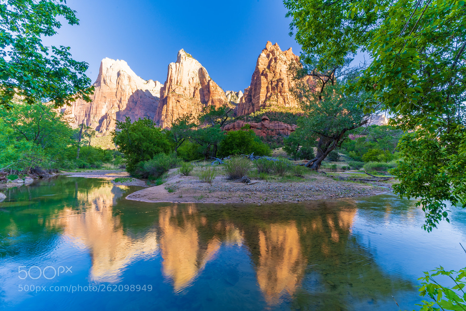 Sony a7 III sample photo. Zion national park photography