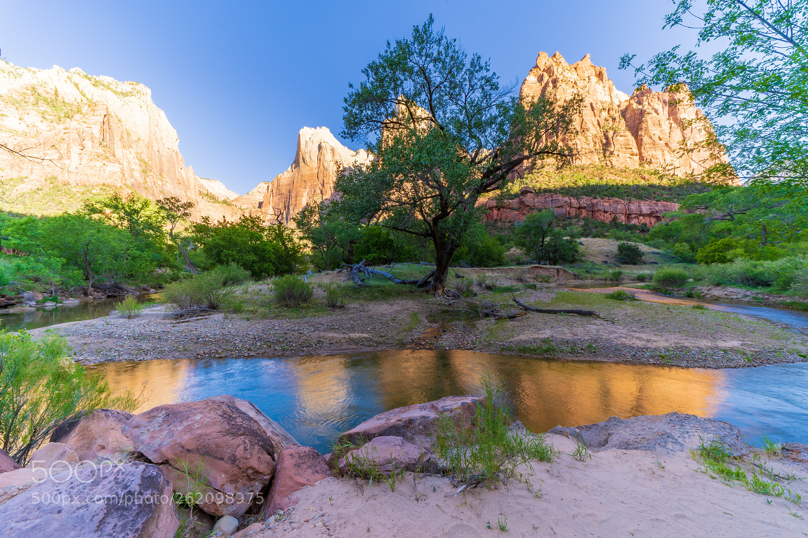 Sony a7 III sample photo. Zion national park photography