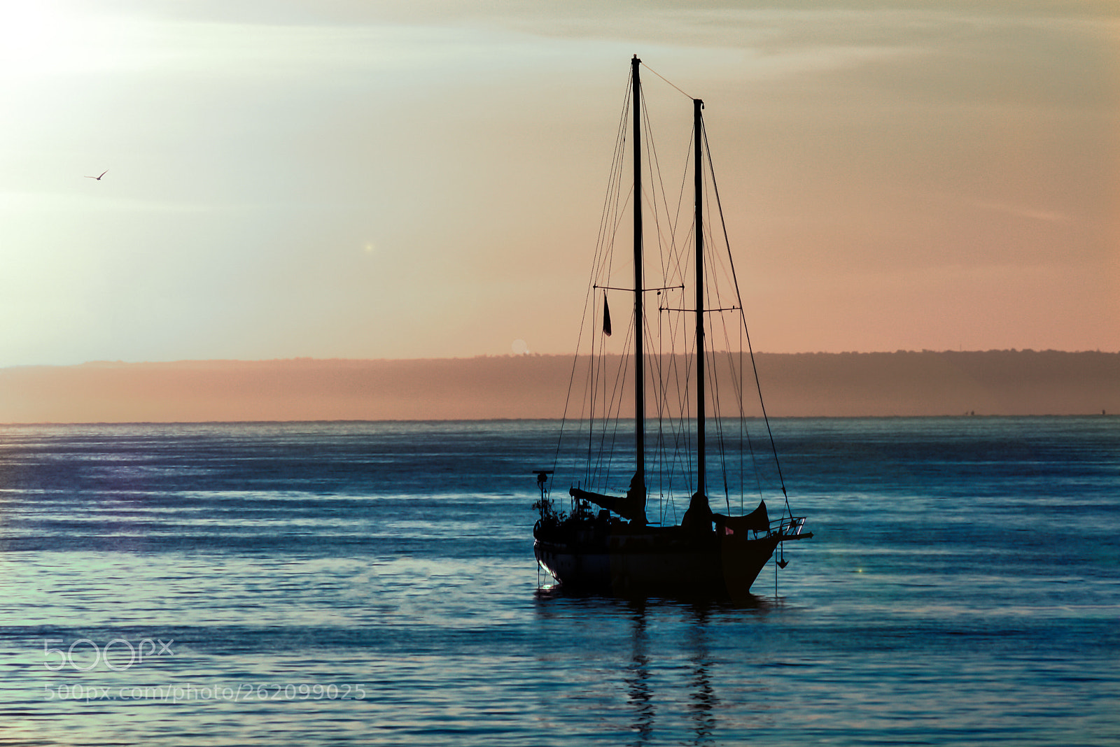 Nikon D3400 sample photo. Safe harbour photography